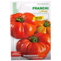 Franchi Sementi Costoluto Fiorentina Tomato 